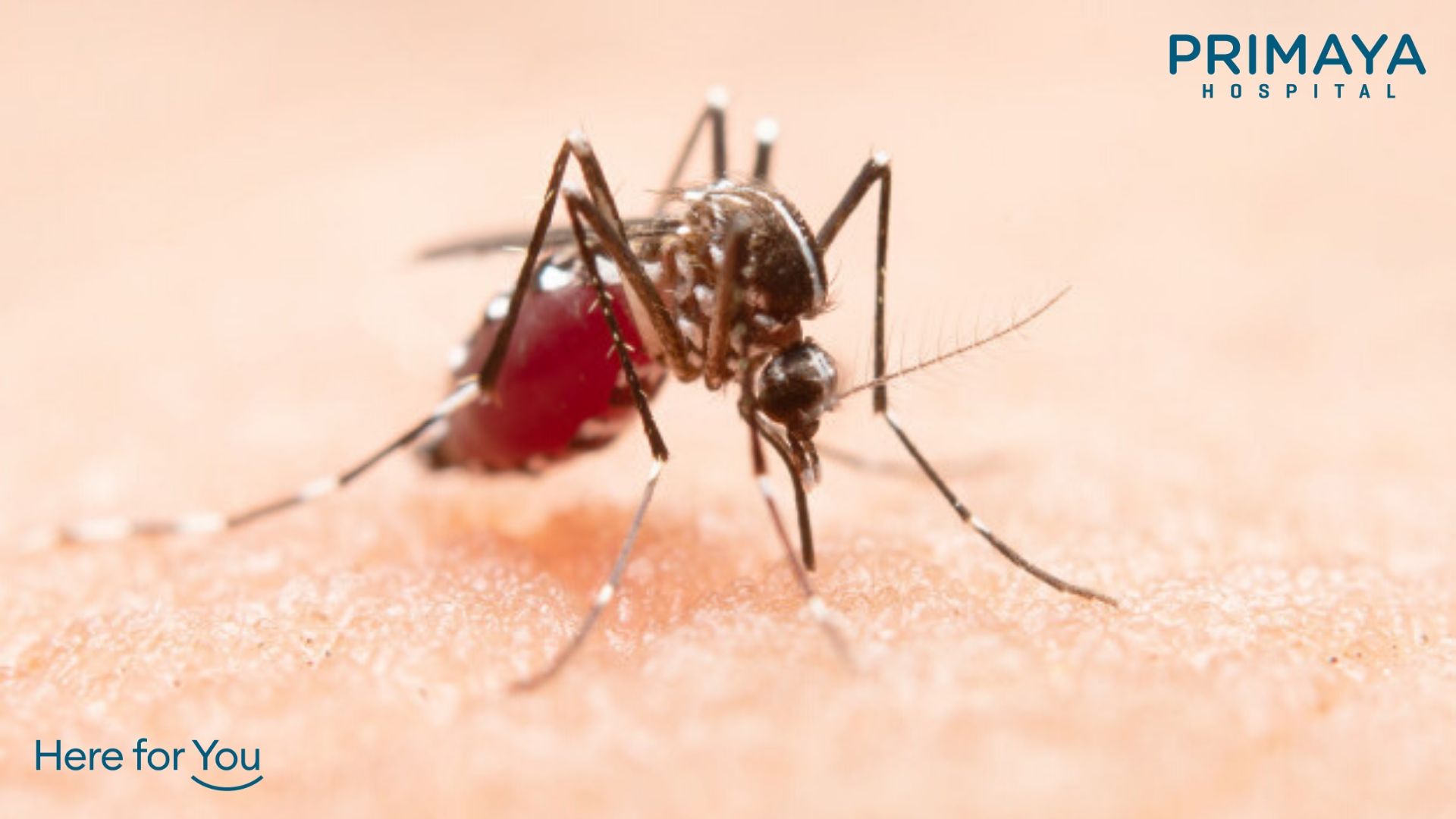 Penyakit Demam Berdarah