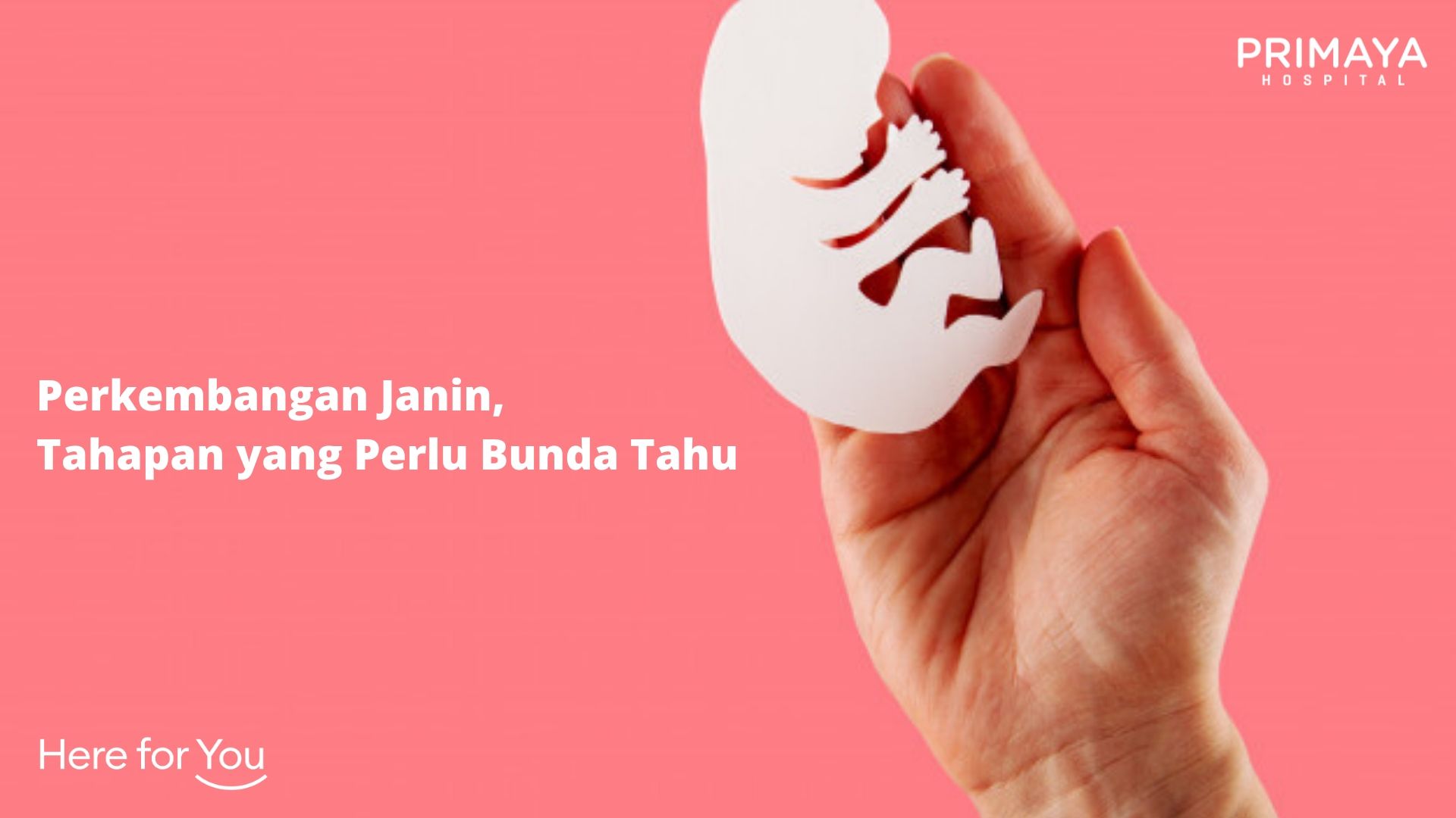 Perkembangan Janin, Tahapan yang Perlu Bunda Tahu