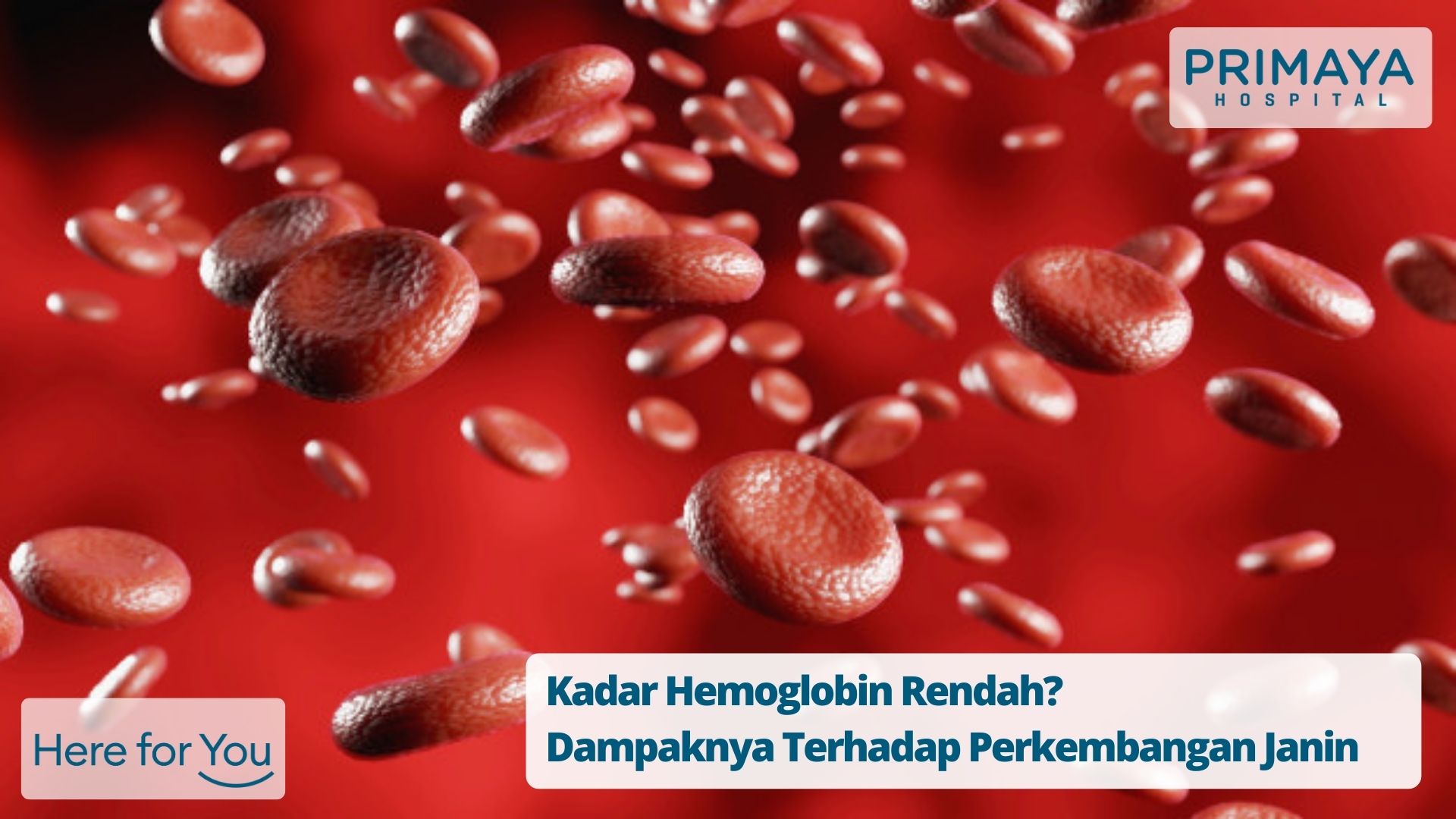 Kadar Hb Rendah_ Dampaknya Terhadap Perkembangan Janin