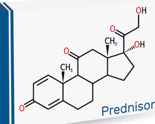Prednison
